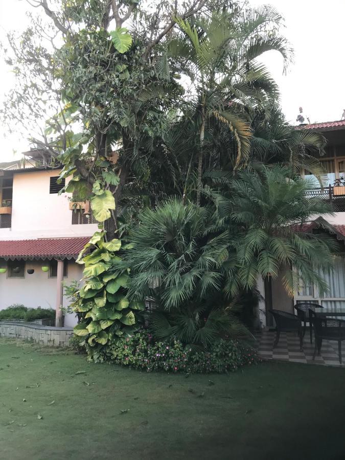 Silver Oak Mount Abu Exterior photo